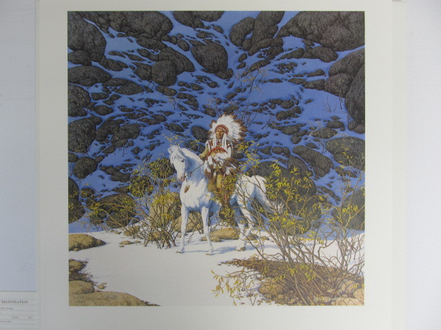 lot 6 image: Signed & Numbered BEV DOOLITTLE Eagle Heart 545948000