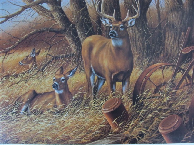 lot 10 image: Signed & Numbered ROSEMARY MILLETTE Rustic Retreat-Whitetail Deer 282663