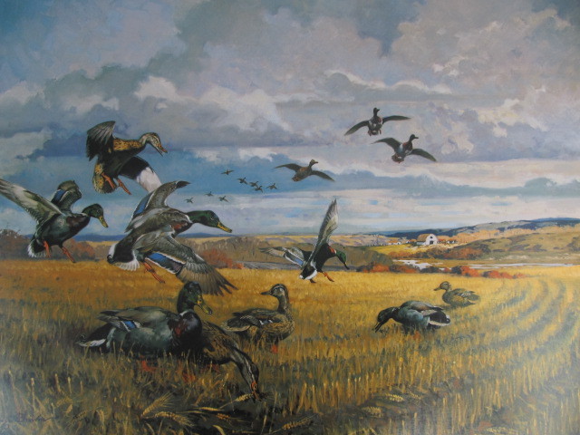 lot 16 image: Signed & Numbered GEORGE BROWNE Fields of Gold-Mallards 374500