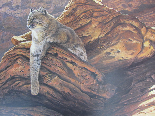 lot 30 image: 1987 Signed & Numbered SEEREY LESTER Cliff Hanger-Bobcat 2950