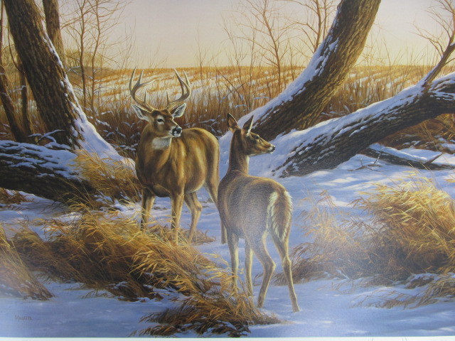 lot 36 image: Signed & Numbered ROSEMARY MILLETTE Cottonwood Crossing-Whitetail Deer 5551500