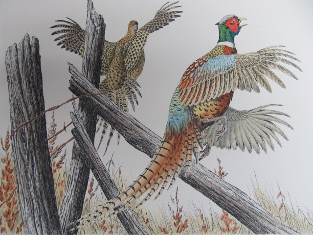 lot 39 image: Signed & Numbered DAVE CHAPPLE Hedgerow-Pheasants 30250