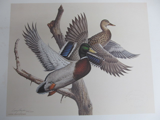 lot 41 image: 1983 Signed & Numbered LARRY HAYDEN Mallards 17032400