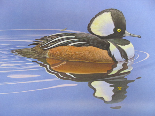lot 45 image: Signed & Numbered ALBERT EARL GILBERT Hooded Merganser 50935800
