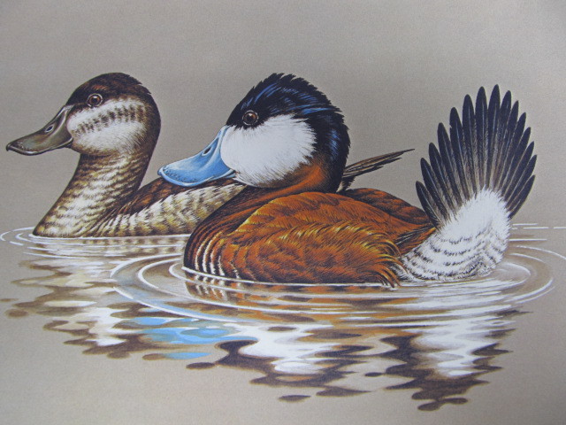 lot 48 image: Signed & Numbered JOHN S. WILSON Federal Duck Stamp Print WITH STAMP 11,65116,000