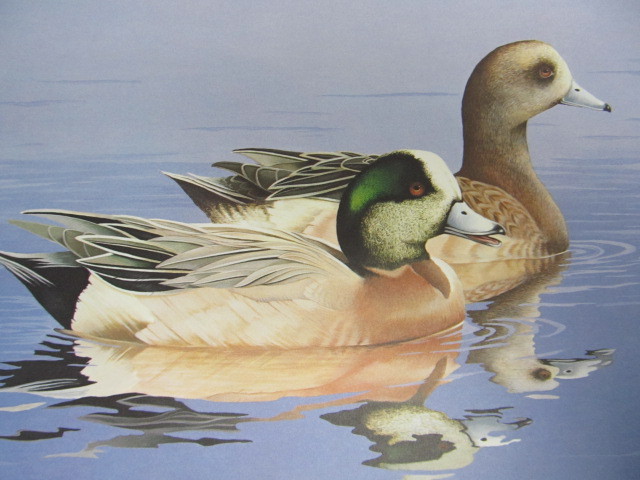 lot 51 image: Signed & Numbered WILLIAM C. MORRIS Federal Migratory Waterfowl Stamp Print 1825120400 w STAMP