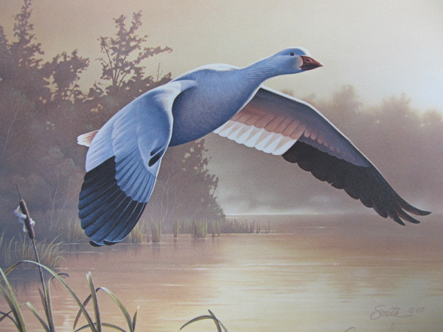 lot 55 image: Signed & Numbered DANIEL SMITH Federal Duck Stamp Print Lesser Snow Goose 17,55122,000 w STAMP
