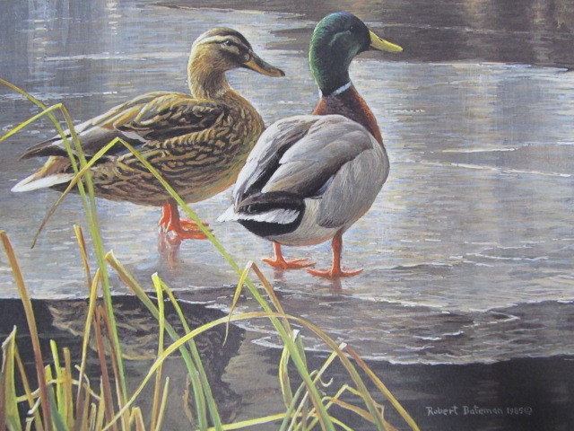 lot 56 image: Signed & Numbered ROBERT BATEMAN Mallard Pair-Early Winter 16,80841,740 w STAMP