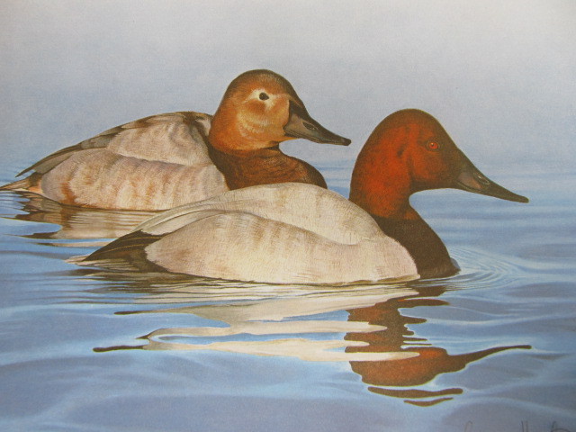 lot 59 image: Signed & Numbered TOM HIRATA New Jersey Waterfowl Stamp Print 825610011 w STAMPS