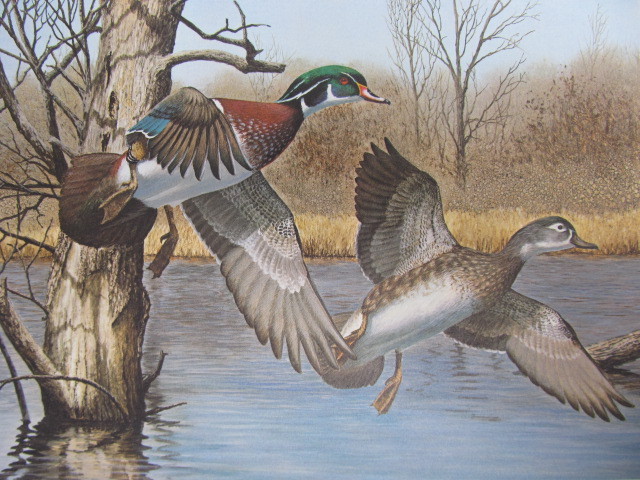 lot 61 image: Signed & Numbered RICHARD PLASSCHAERT Duck Stamp Print 47385507 w STAMP