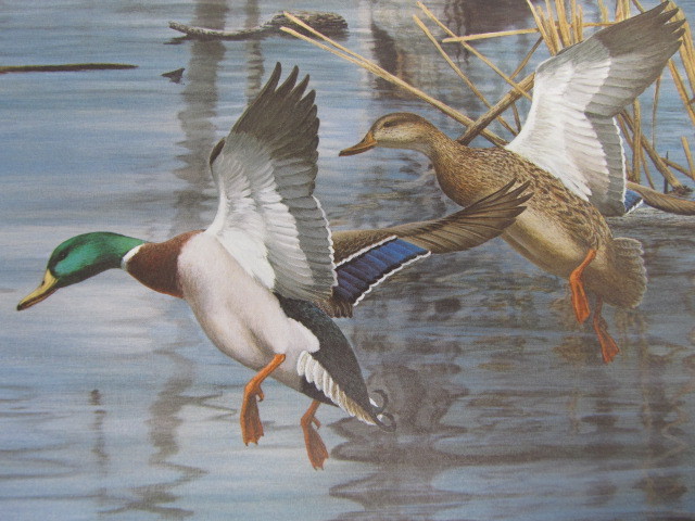 lot 62 image: Signed & Numbered RICHARD PLASSCHAERT Duck Stamp Print 9,29113,652 w STAMP