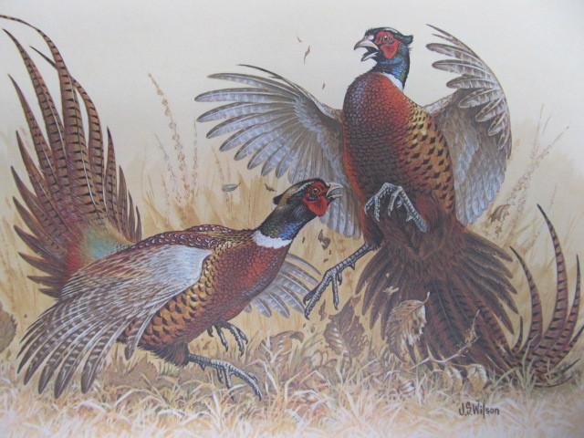 lot 64 image: Signed & Numbered JOHN WILSON Pheasant Restoration Print 278500 w STAMP