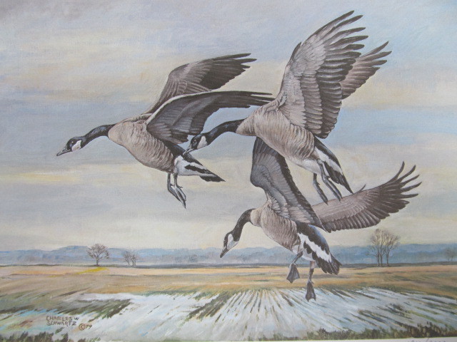 lot 65 image: Signed & Numbered CHARLES SCHWARTZ Canada Geese Print 18102000 w STAMP 