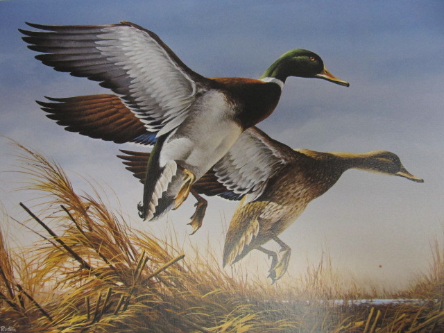 lot 67 image: Signed & Numbered TERRY REDLIN Duck Stamp Print 34113438 w STAMP