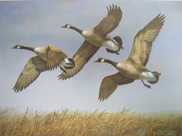 lot 70 image: Signed & Numbered RICHARD PLASSCHAERT Duck Stamp Print 20199939 w STAMP