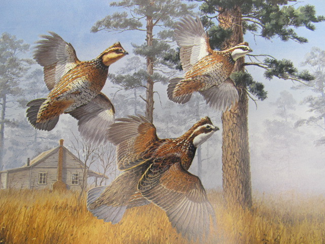lot 72 image: Signed & Numbered DAVID MAASS Bobwhite Quail Print 37693900 w STAMP