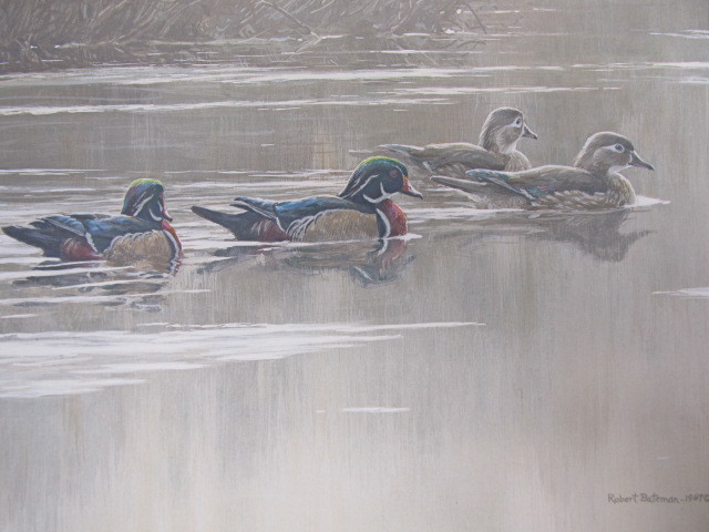 lot 77 image: Signed & Numbered ROBERT BATEMAN Hurricane Lake Wood Ducks Print w Stamp 15128855