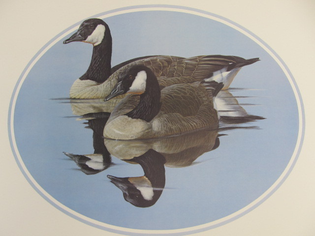 lot 81 image: Signed & Numbered DICK McRILL Canada Geese Print 347450