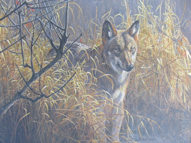lot 101 image: 1986 Signed & Numbered ROBERT BATEMAN Red Wolf Print 784950