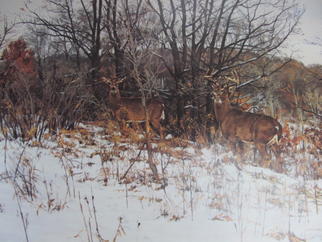 lot 113 image: Signed & Numbered WAYNE MEINEKE Whitetail Ridge Print  2721500