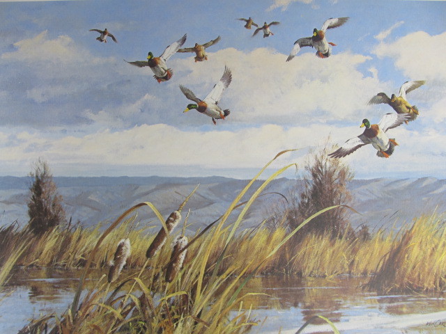lot 115 image: Signed & Numbered KEN CARLSON Opening Day-California Mallards Print 403950