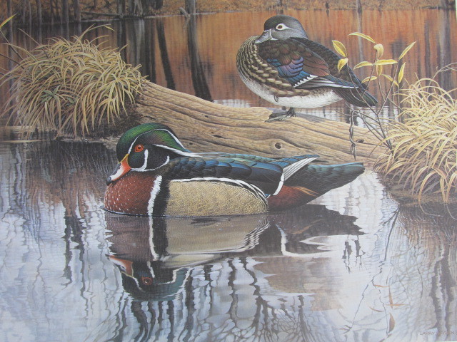 lot 122 image: 1985 Signed & Numbered LARRY HAYDEN Autumn Reflections Print of the Year  403950
