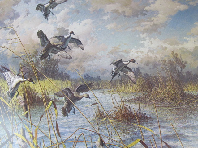 lot 133 image: 1981 Signed & Numbered HARRY ADAMSON Winters Prelude-California Pintails Print  403950
