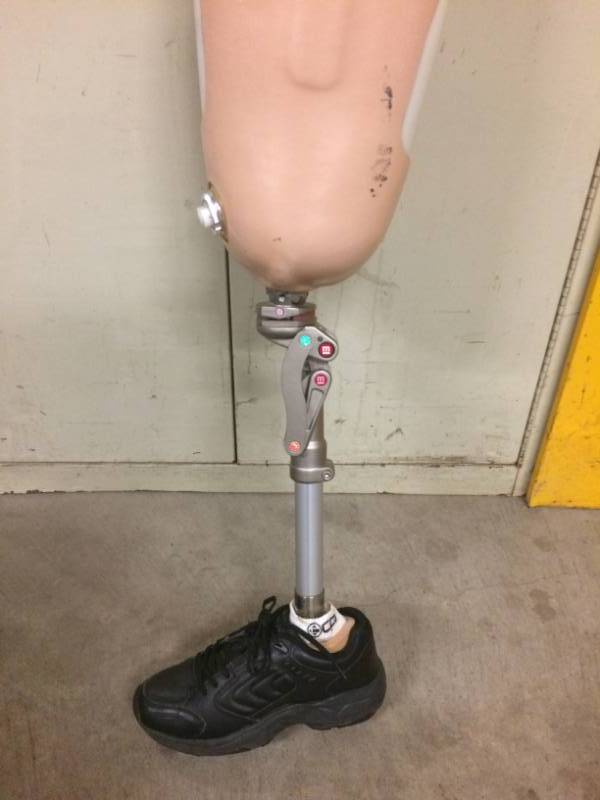 lot 7 image: Orthotic