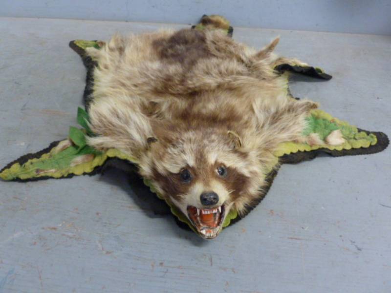 lot 8 image: Vintage Raccoon Hide