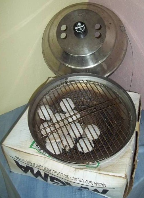 lot 155 image: Gas Grill