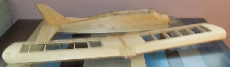 lot 158 image: Large Model Airplane Body