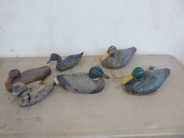 lot 21 image: Duck Decoys