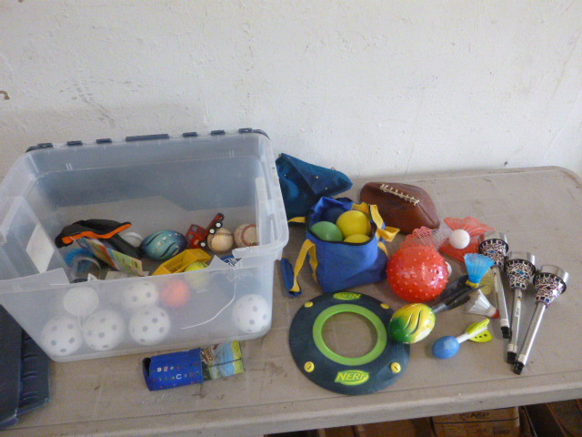 lot 70 image: Lawn Game Items