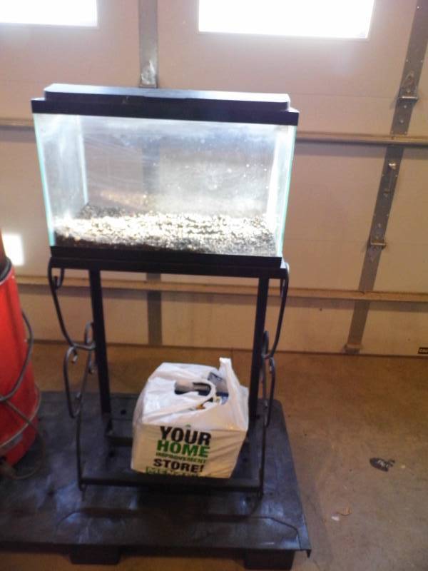 lot 10 image: 10 Gallon Tank wStand