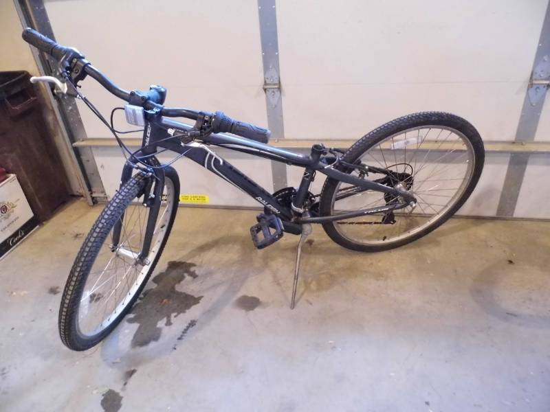 lot 55 image: Raleigh Bike