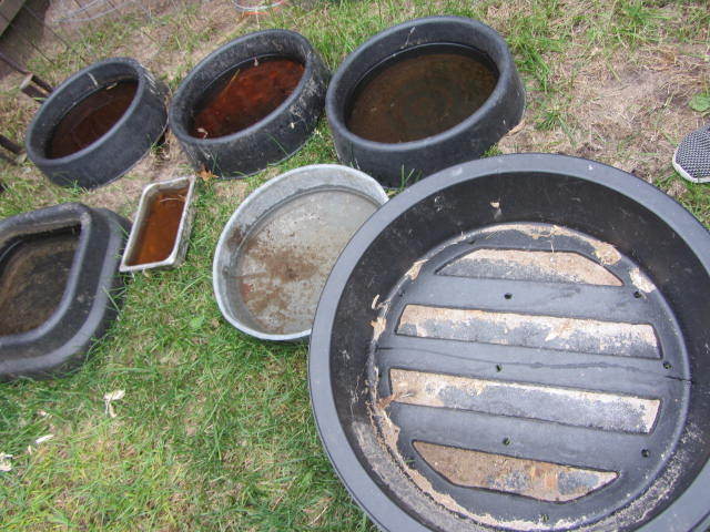 Feeding & Watering