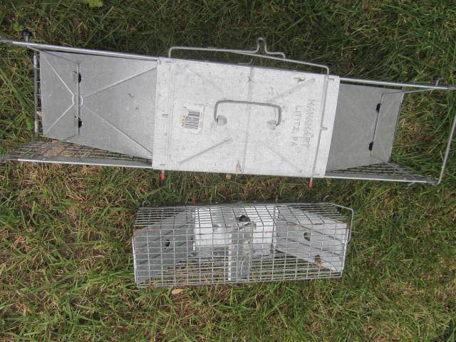 Live Traps