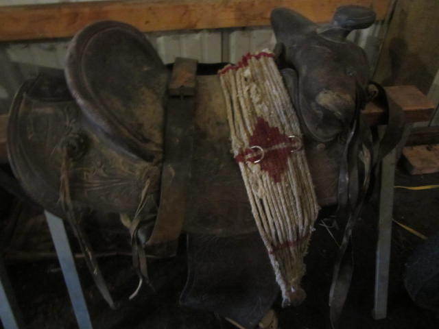 Saddle King Saddle