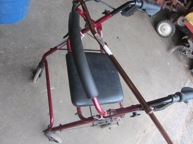 Walker, Cane