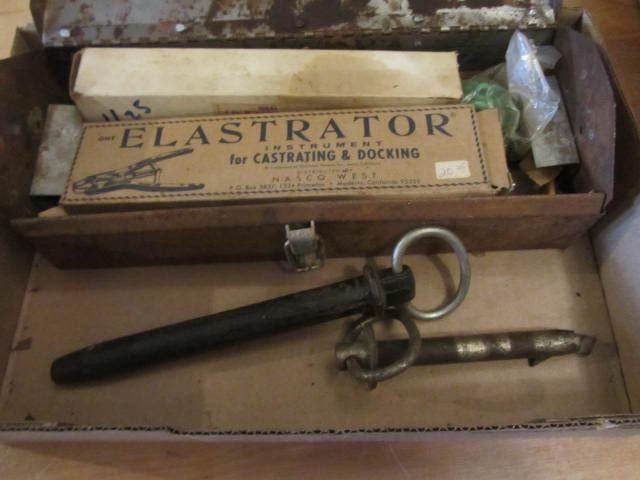 Castrating Tool