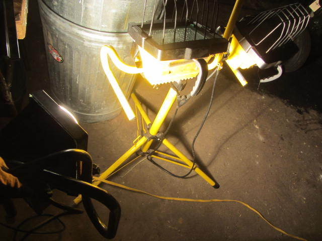 Halogen Lights