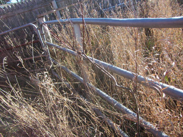 Tube Gates