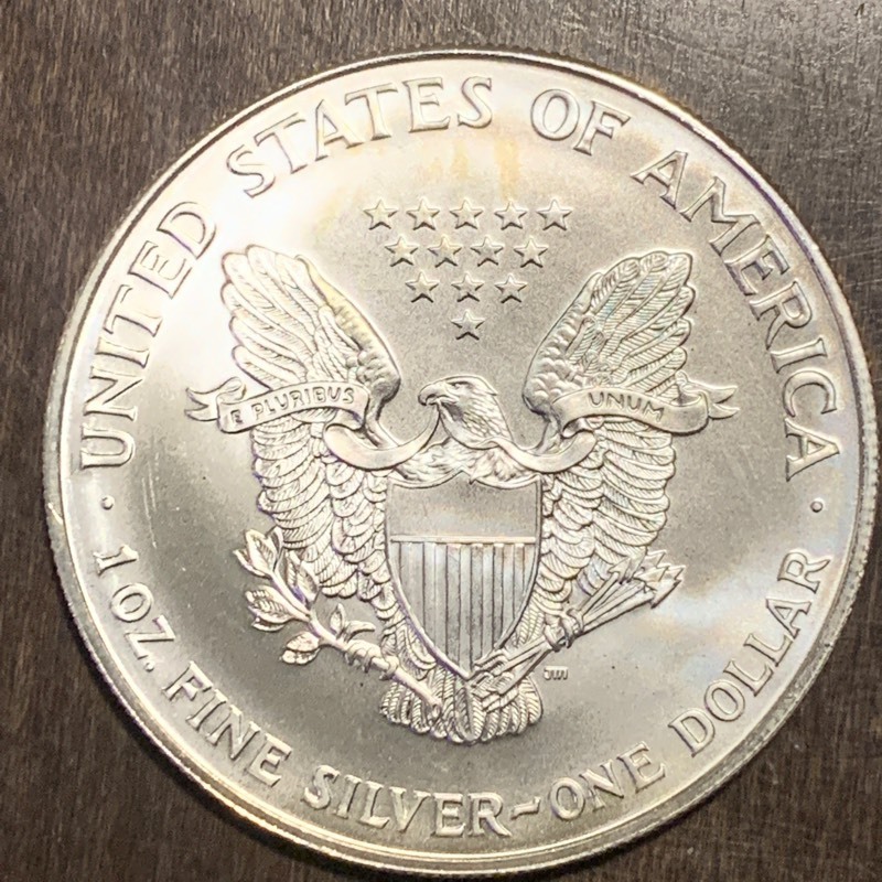 1999 American Silver Eagle $1 Coin ...