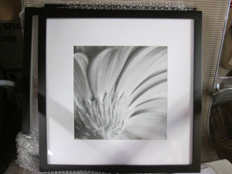9pc. Wall Art -Flowers (Black & Whi...