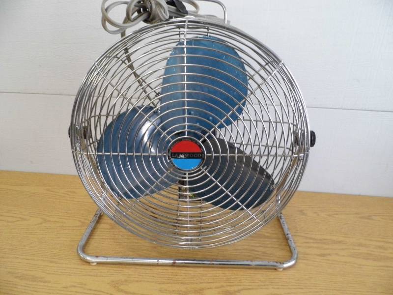 Fan