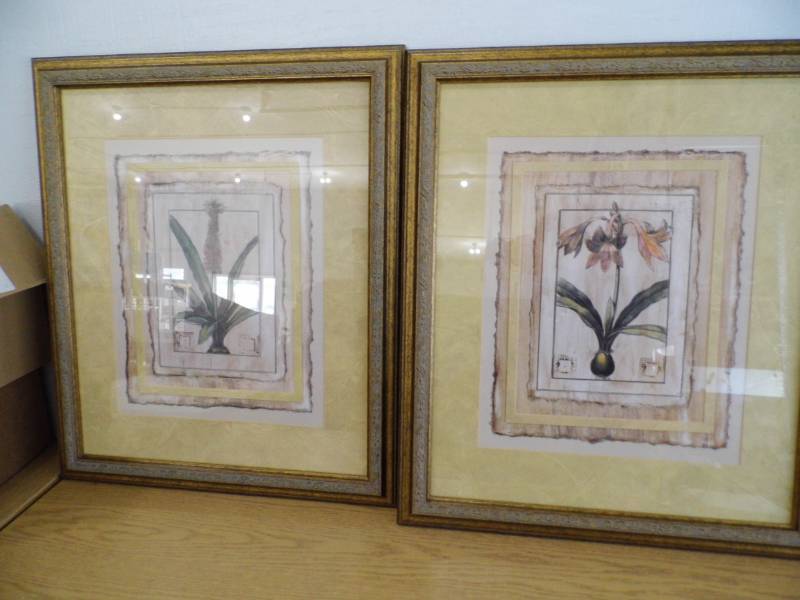 2 Botanical Prints