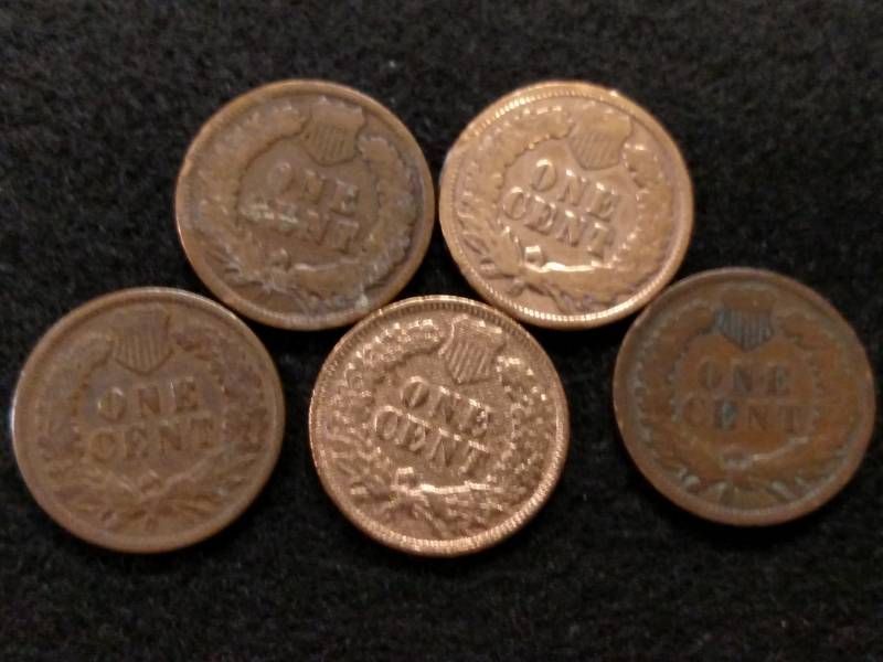 (5) Indian Head Cents...