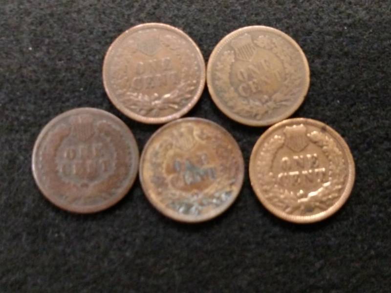 (5) Indian Head Cents...