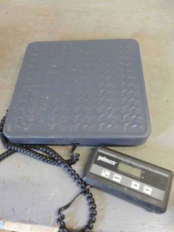 Scale