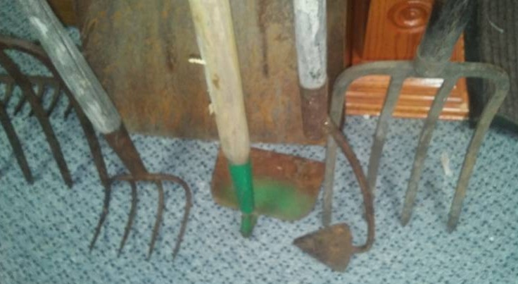 lot 123 image: Garden Yard tools  (8)